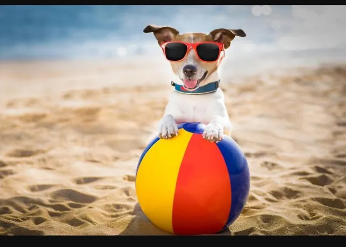 Sandra Ii Alloggio in famiglia Łeba