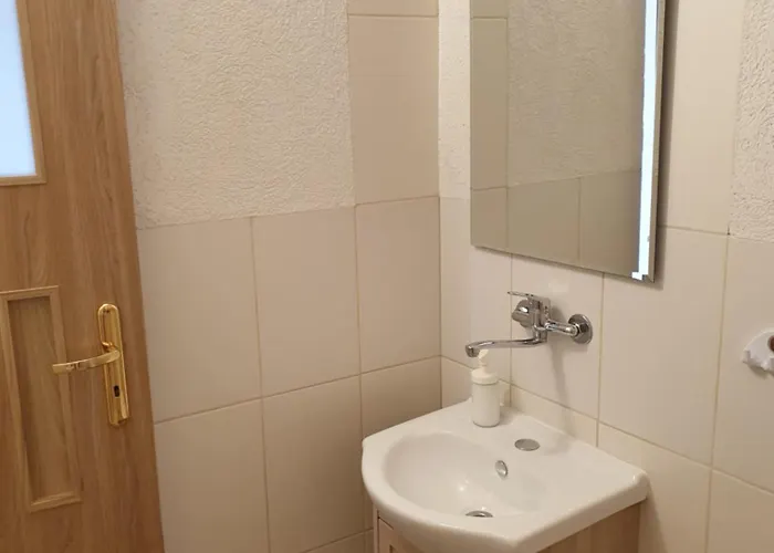 Sandra Ii Alloggio in famiglia